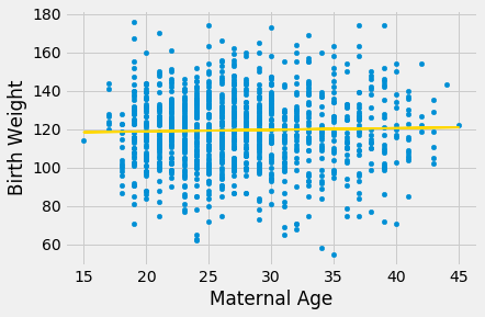 A scatterplot with 'Maternal Age' on the x-axis and 'Birth Weight' on the y-axis. The data points are shown in light blue and have discrete x values. There is no apparent shape to the data. A gold line is drawn with a very slight positive slope.