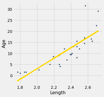 Scatterplot with 'Length' on the x-axis and 'Age' on the y-axis. There is a fairly strong positive assocation; as x values increase so do y values. Some outliers exist for data points with large x values that have higher y values. A gold line is drawn through the data; the outliers are far from the gold line.
